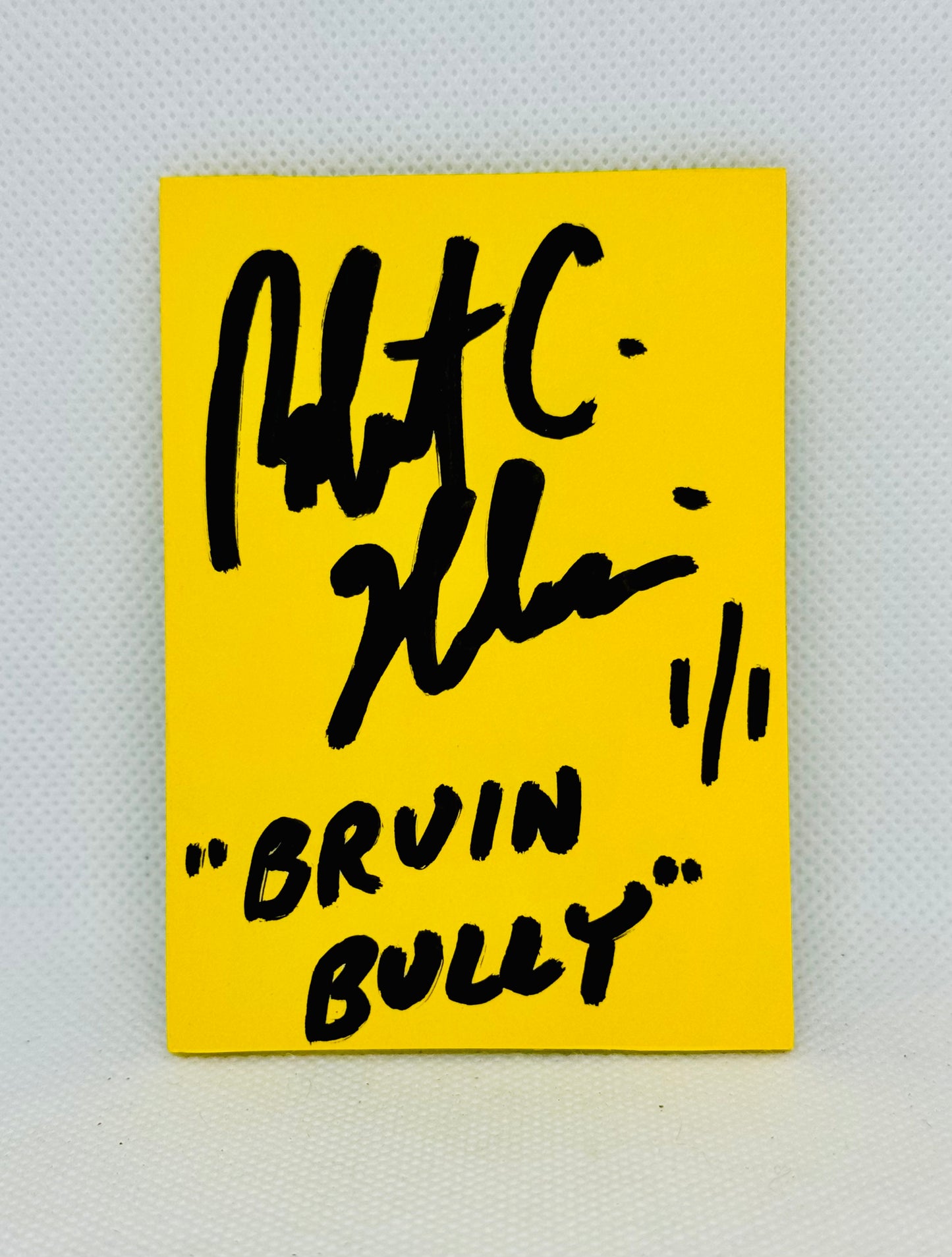 Art trading card (“Bruin Bully” Terry O’Reilly 1/1 Boston Bruins NHL)